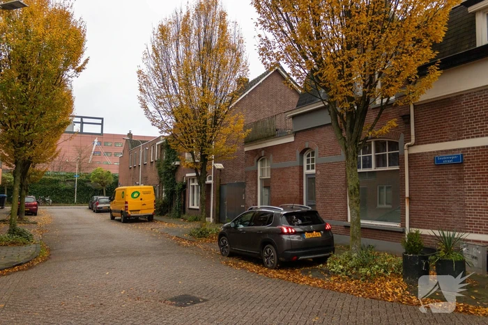 Zoekactie naar zeer giftig groene mamba nadat deze ontsnapt