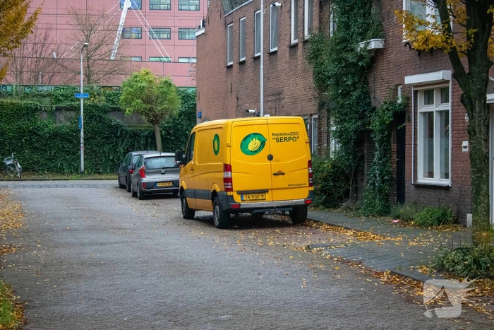 Zoekactie naar zeer giftig groene mamba nadat deze ontsnapt