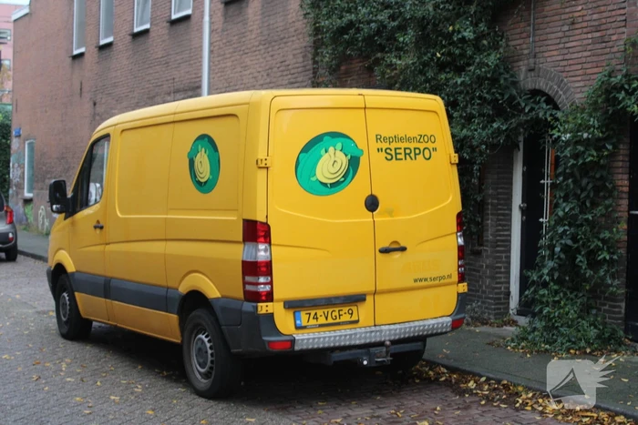 Zoekactie naar zeer giftig groene mamba nadat deze ontsnapt
