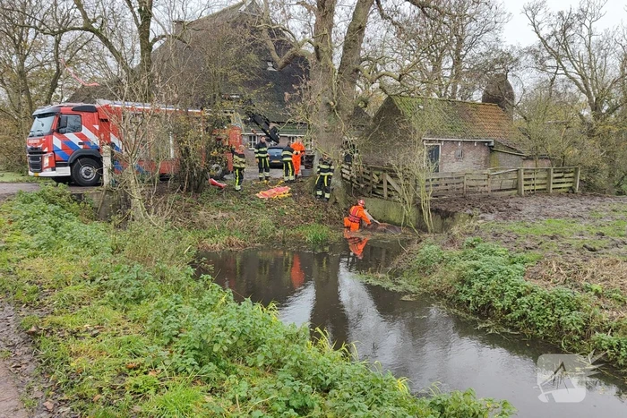 Paard uit het water gered met kraan