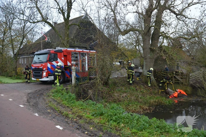 Paard uit het water gered met kraan