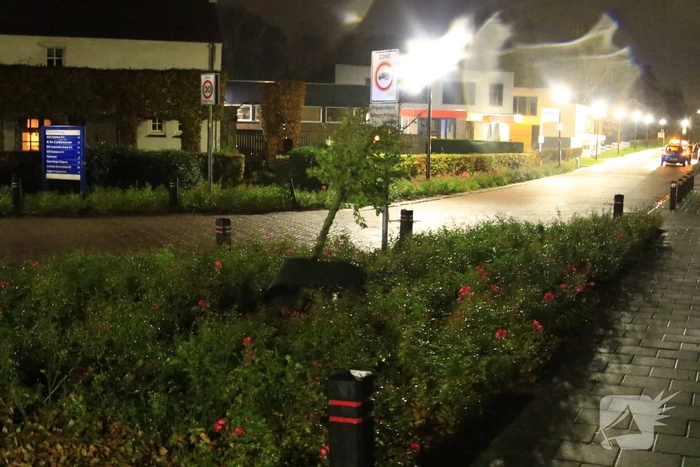 Automobilist botst op paal en boom