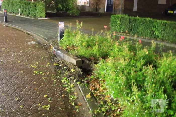 Automobilist botst op paal en boom
