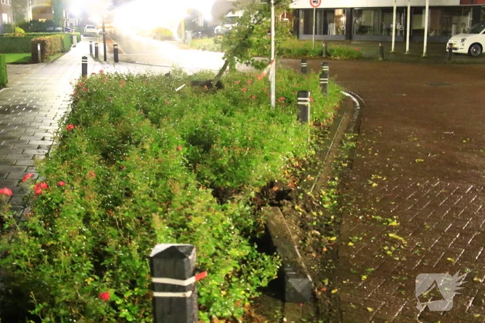 Automobilist botst op paal en boom