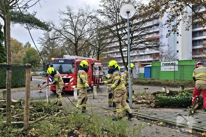 natuur voorsterweg ede
