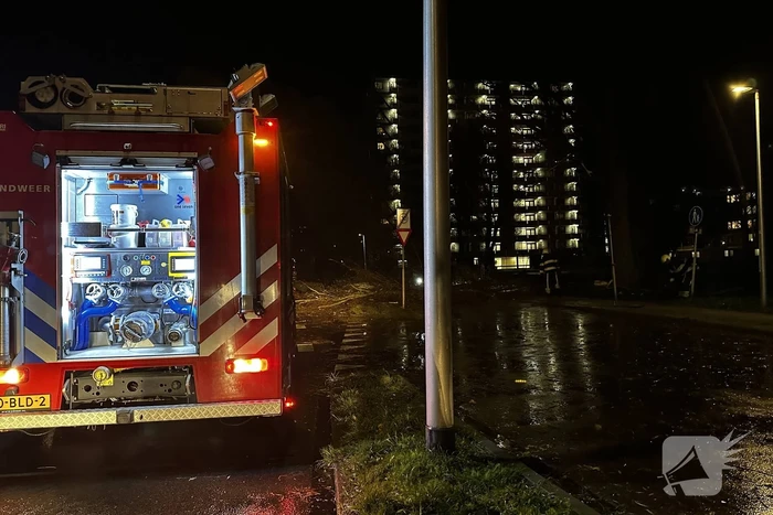 Grote tak breekt uit boom