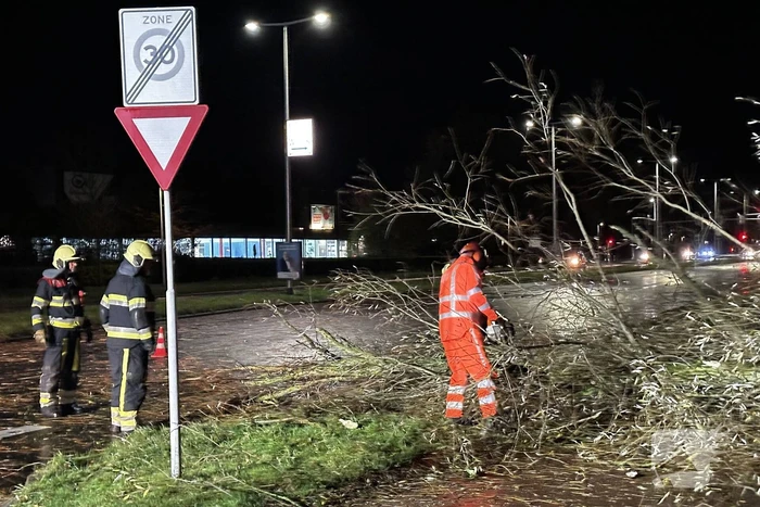 Grote tak breekt uit boom