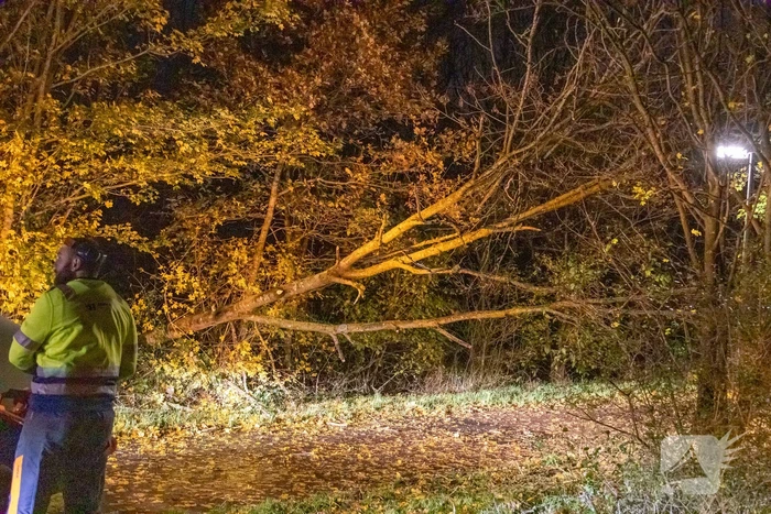 Scooterrijder gewond bij botsing met omgewaaide boom