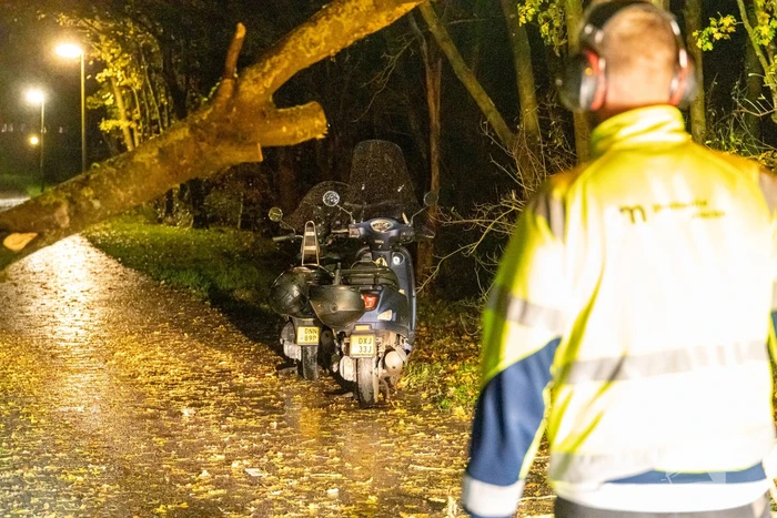 Scooterrijder gewond bij botsing met omgewaaide boom