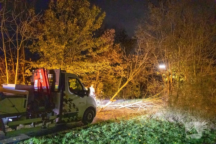 Scooterrijder gewond bij botsing met omgewaaide boom