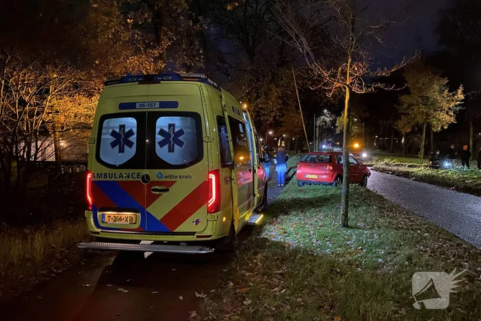 Automobilist ramt lantaarnpaal
