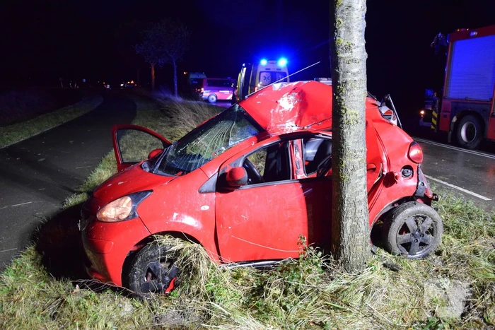 Persoon zwaargewond bij botsing tegen boom