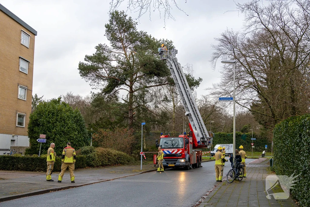 Bussum