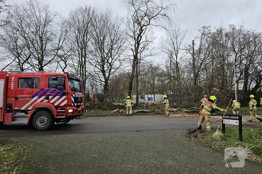 Droevendaalsesteeg Wageningen 112 