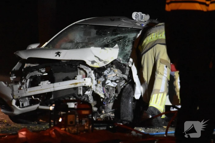 Automobilist eindigt tegen boom