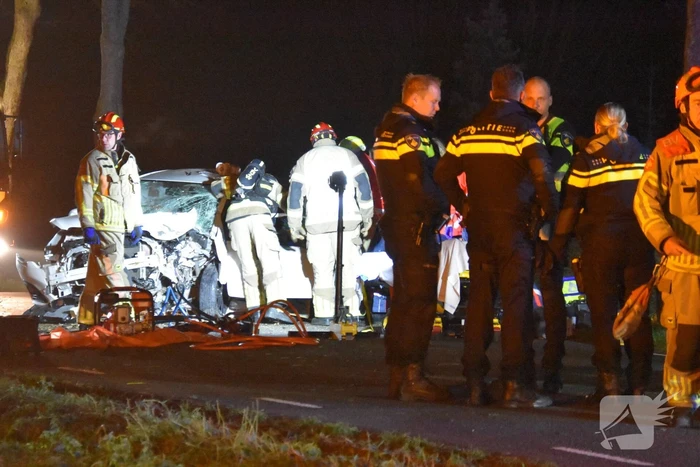 Automobilist eindigt tegen boom