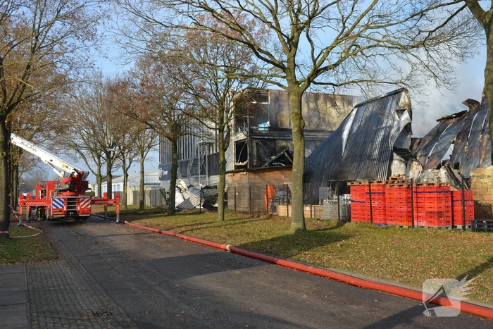 Bedrijfspand verwoest door vlammenzee