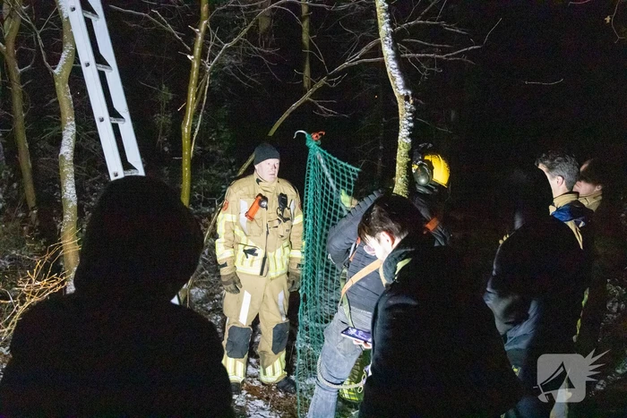 Brandweer ingezet voor vermiste serval