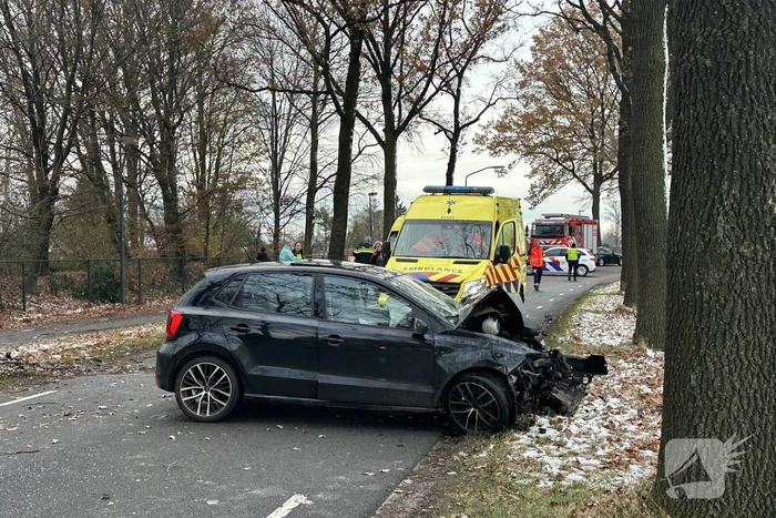 Automobilist zwaargewond bij botsing met boom