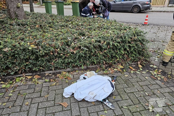 Nest Aziatische Hoornaars verwijderd met behulp van hoogwerker