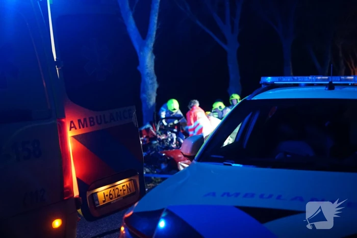 Auto zwaar beschadigd na frontale botsing tegen boom, bestuurder zwaargewond