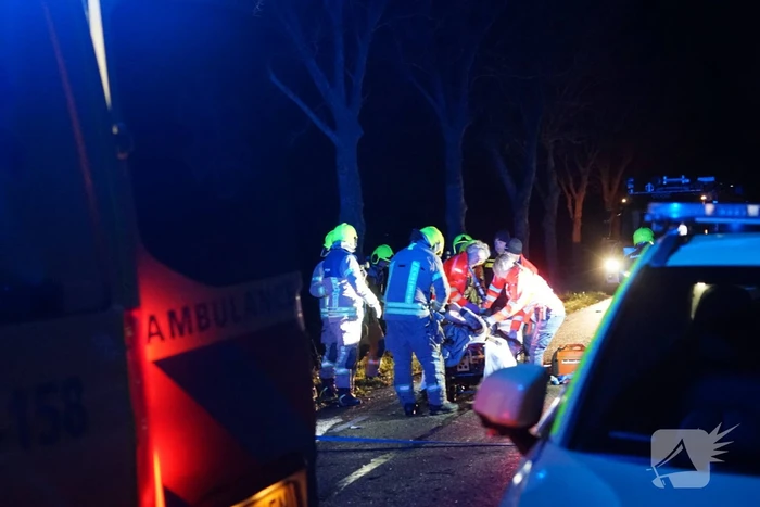 Auto zwaar beschadigd na frontale botsing tegen boom, bestuurder zwaargewond