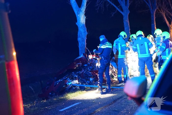 Auto zwaar beschadigd na frontale botsing tegen boom, bestuurder zwaargewond