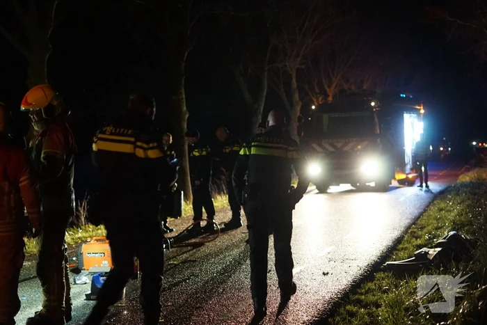 Auto zwaar beschadigd na frontale botsing tegen boom, bestuurder zwaargewond