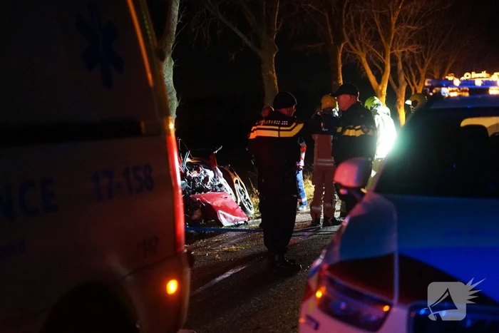 Auto zwaar beschadigd na frontale botsing tegen boom, bestuurder zwaargewond