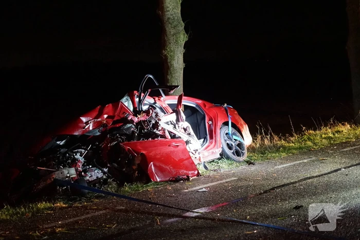 Auto zwaar beschadigd na frontale botsing tegen boom, bestuurder zwaargewond