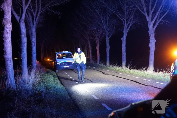 Auto zwaar beschadigd na frontale botsing tegen boom, bestuurder zwaargewond