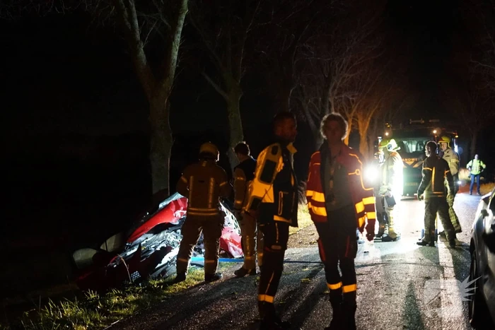 Auto zwaar beschadigd na frontale botsing tegen boom, bestuurder zwaargewond