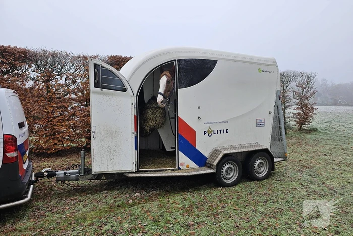 Grote zoektocht naar vermiste 36-jarige man