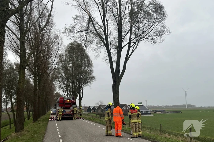 natuur molendijk numansdorp