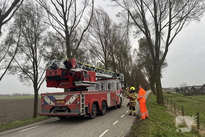 Grote tak dreigt uit boom te waaien