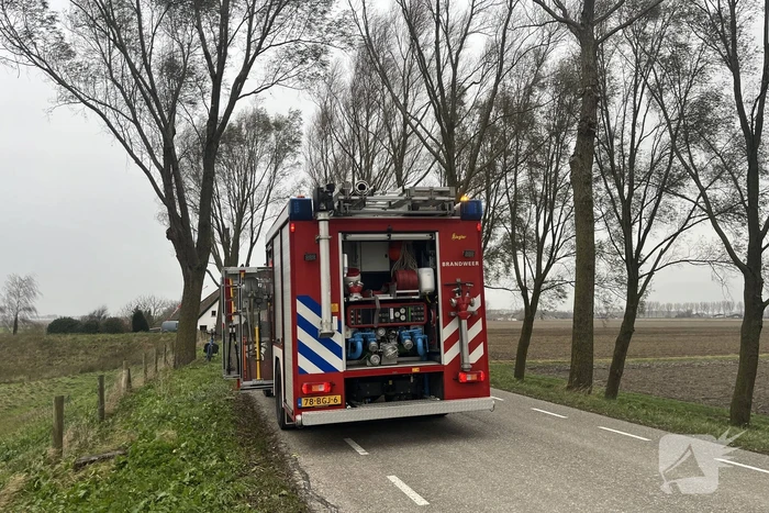 Grote tak dreigt uit boom te waaien
