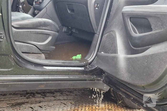 Automobiliste rijdt de Watering in