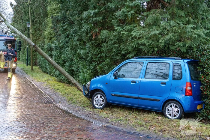 Automobilist rijdt boom omver