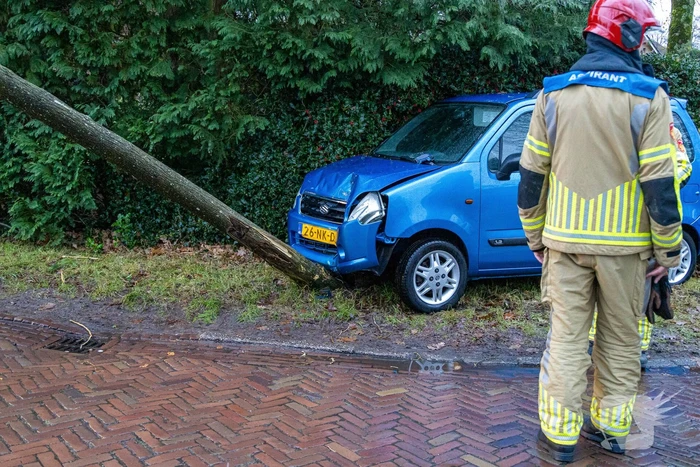 Automobilist rijdt boom omver