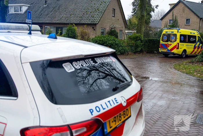 Automobilist rijdt boom omver
