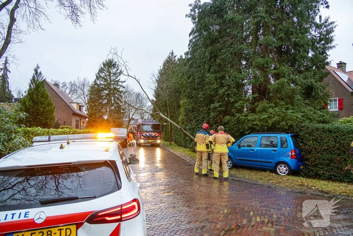 Automobilist rijdt boom omver