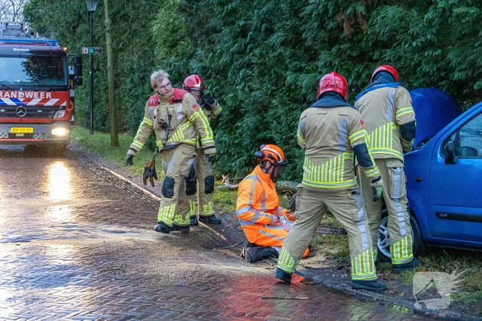 Automobilist rijdt boom omver