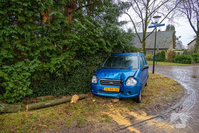 Automobilist rijdt boom omver