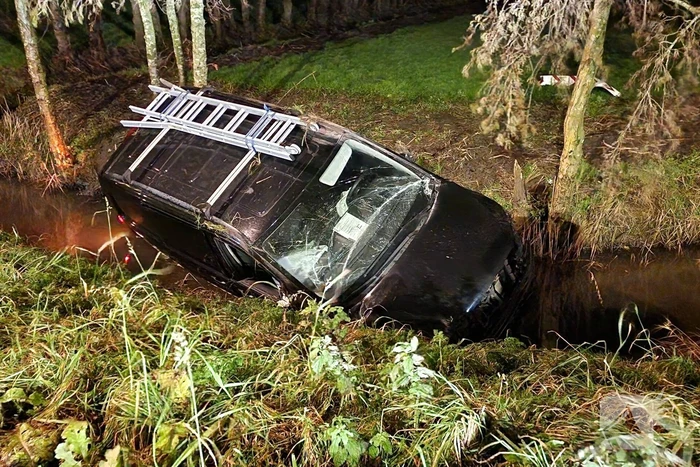 Bestuurder van bestelbus belandt in sloot