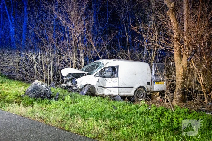 Bestelbus botst frontaal op boom naast snelweg