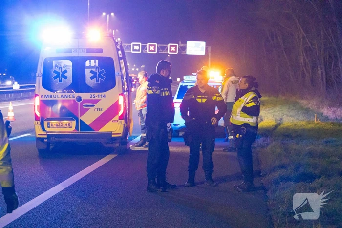 Bestelbus botst frontaal op boom naast snelweg