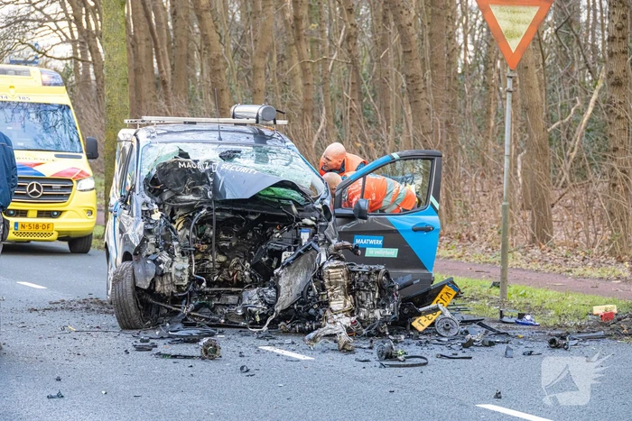 Bestuurder van bestelbus botst op boom