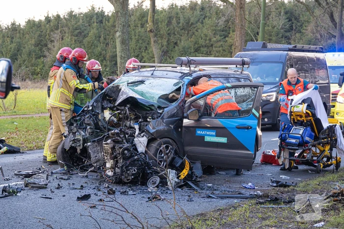 Bestuurder van bestelbus botst op boom
