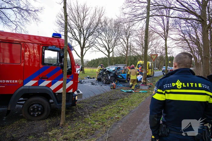 Bestuurder van bestelbus botst op boom