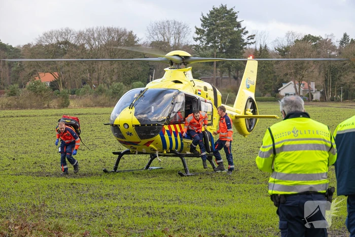 Bestuurder van bestelbus botst op boom